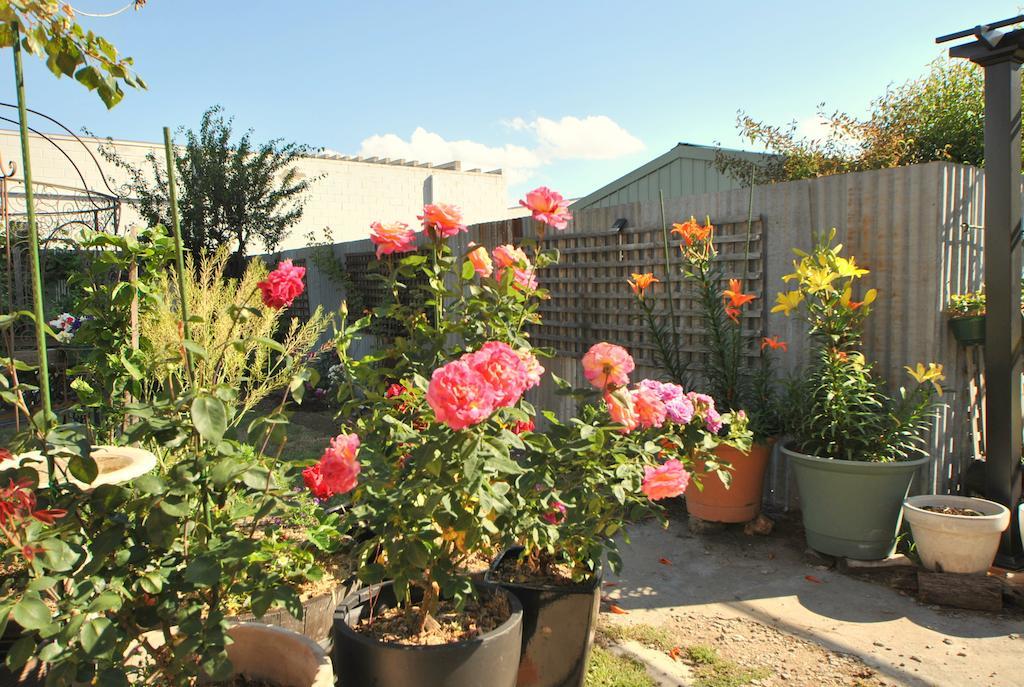 Cooma Cottage 외부 사진